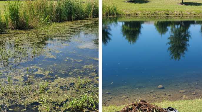 Sediment removal from a retention pond